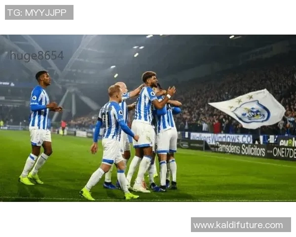 卡迪夫与哈德斯菲尔德激战正酣谁能在这场对决中笑到最后