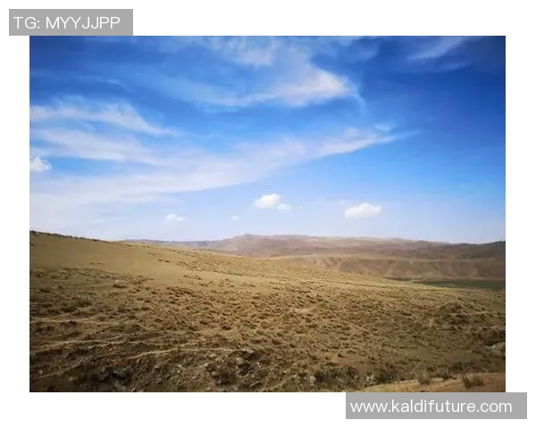 崔永熙：从平凡到卓越的奋斗历程与人生感悟