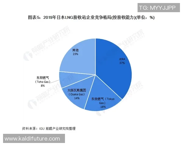 独家解析LNG市场竞争策略与战术对比深度剖析MBA 独家解析LNG市场竞争策略与战术对比深度剖析MBA