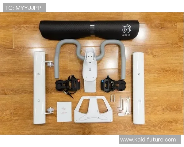 成都极限运动队进攻战术深度分析与实战应用探讨